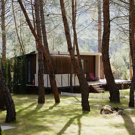 Mossa Afkule Kayakoey Φετιγιέ