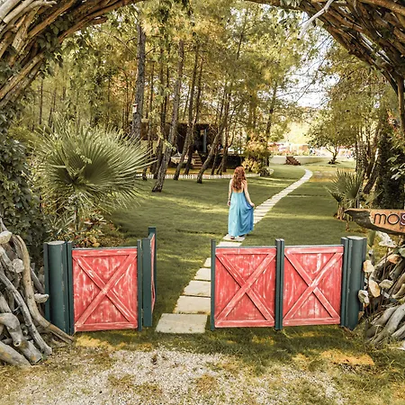 Ξενοδοχείο Mossa Afkule Kayakoey *