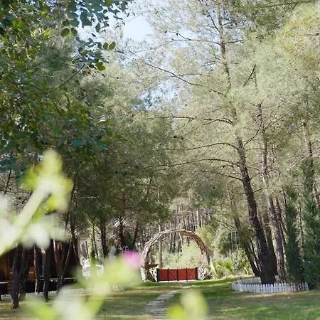 Hotel Mossa Afkule Kayakoey