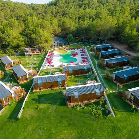 Mossa Afkule Kayakoey *