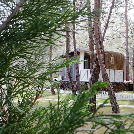 Hotel Mossa Afkule Kayakoey Fethiye