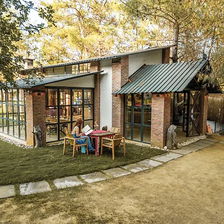 Mossa Afkule Kayakoey *