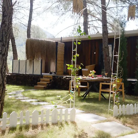 Mossa Afkule Kayakoey *